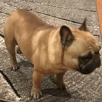 processed/687e7d28-1452-4b51-a35e-9b618b787702/facility/62710d01-9317-459b-a0bb-c6240202e6d4