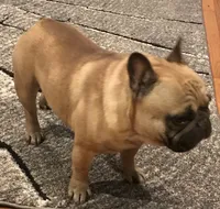 processed/687e7d28-1452-4b51-a35e-9b618b787702/facility/62710d01-9317-459b-a0bb-c6240202e6d4