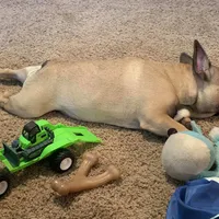 processed/687e7d28-1452-4b51-a35e-9b618b787702/facility/a592a9f6-991b-4dbf-8ccc-1626bda8b52b