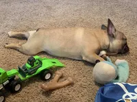 processed/687e7d28-1452-4b51-a35e-9b618b787702/facility/a592a9f6-991b-4dbf-8ccc-1626bda8b52b