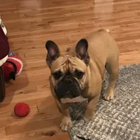 processed/687e7d28-1452-4b51-a35e-9b618b787702/facility/c4a45db8-777d-4a85-a236-82c1d795a120