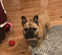 processed/687e7d28-1452-4b51-a35e-9b618b787702/facility/c4a45db8-777d-4a85-a236-82c1d795a120