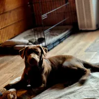 processed/68896b5e-ff5d-4f31-84e1-8effb13954f1/facility/12fe282c-0abb-4ecc-8068-689cb71f4c8b