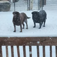 processed/68896b5e-ff5d-4f31-84e1-8effb13954f1/facility/17c2c228-97d0-49b7-9abc-afe14f0676e7