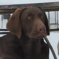 processed/68896b5e-ff5d-4f31-84e1-8effb13954f1/facility/213942e1-424d-4d84-a3c6-8c9515e36507