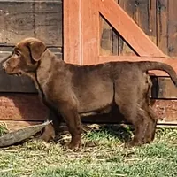 processed/68896b5e-ff5d-4f31-84e1-8effb13954f1/facility/2dbff328-f786-410d-9458-07fba0fff597