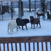 processed/68896b5e-ff5d-4f31-84e1-8effb13954f1/facility/86b9889a-214b-4c9a-954c-1a5bec399ae2