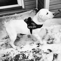 processed/68896b5e-ff5d-4f31-84e1-8effb13954f1/facility/8737eec5-acc3-4207-bf69-ab2228933550