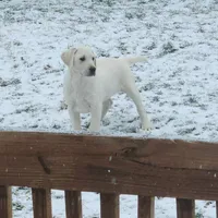 processed/68896b5e-ff5d-4f31-84e1-8effb13954f1/facility/9176e04b-19f2-4e5b-af36-aa7ae390198d