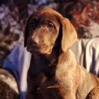 processed/68896b5e-ff5d-4f31-84e1-8effb13954f1/facility/9b868b71-6e09-42b9-b457-3affd2b37304