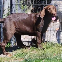 processed/68896b5e-ff5d-4f31-84e1-8effb13954f1/facility/b90b0890-a537-41bd-9441-e34f7afb5ddf