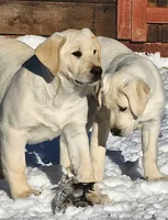 processed/68896b5e-ff5d-4f31-84e1-8effb13954f1/facility/e521f4dc-6d2f-4cf4-8106-cdbc4b75dcfb