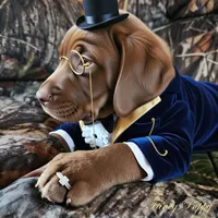 Champ, a male Labrador Retriever for sale in Tazewell, VA – Photo 1 of 6