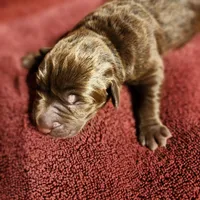 processed/68896b5e-ff5d-4f31-84e1-8effb13954f1/listing/e27fd5af-7179-45f4-a1bb-86ac9e3ceea3/51fc78e3-0f7a-4347-8cd3-5dde9787f546