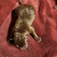 processed/68896b5e-ff5d-4f31-84e1-8effb13954f1/listing/e27fd5af-7179-45f4-a1bb-86ac9e3ceea3/8bc5d65c-3bd2-4d80-9aa5-813cd54f79ef