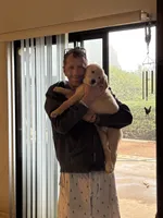 Graham, a male Golden Retriever for sale in Fallbrook, CA – 2 of 10