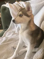 processed/688f47ef-9d34-4669-92f8-88b1fb3e0242/listing/27086ee7-02d7-46a1-b9ea-8a29823a2121/298ac1bb-0aee-4a28-b01f-f8164c40d305