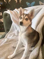 processed/688f47ef-9d34-4669-92f8-88b1fb3e0242/listing/27086ee7-02d7-46a1-b9ea-8a29823a2121/89363b8c-54ef-419f-b203-1b47a7354608