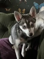 processed/688f47ef-9d34-4669-92f8-88b1fb3e0242/listing/f3b8f2f2-4973-4b6c-abab-ae0e2d289833/6383c2fb-b145-4943-9943-27624e3ac7a6