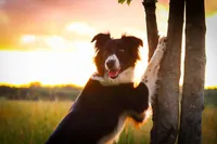 processed/68915448-dbff-45bc-bf34-f64a0a1a0c42/facility/17c905a7-a6e2-4046-b3f5-a1eae1acec63