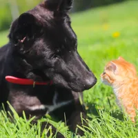 processed/68915448-dbff-45bc-bf34-f64a0a1a0c42/facility/b92bf89e-61f1-4e15-baa6-decb8f06fe65