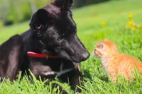 processed/68915448-dbff-45bc-bf34-f64a0a1a0c42/facility/b92bf89e-61f1-4e15-baa6-decb8f06fe65