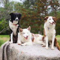 processed/68915448-dbff-45bc-bf34-f64a0a1a0c42/facility/beb2e435-9780-4756-87e7-fd3c18a14d85