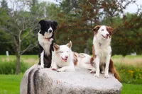 processed/68915448-dbff-45bc-bf34-f64a0a1a0c42/facility/beb2e435-9780-4756-87e7-fd3c18a14d85