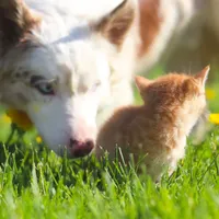 processed/68915448-dbff-45bc-bf34-f64a0a1a0c42/facility/bfccd524-d4bf-43a7-bf76-9890f9e8a6a7