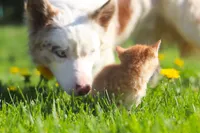 processed/68915448-dbff-45bc-bf34-f64a0a1a0c42/facility/bfccd524-d4bf-43a7-bf76-9890f9e8a6a7