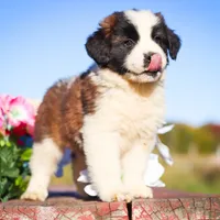 processed/68915448-dbff-45bc-bf34-f64a0a1a0c42/facility/db84266f-5f51-495c-9389-631b98d20add