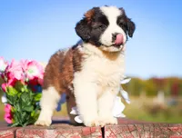 processed/68915448-dbff-45bc-bf34-f64a0a1a0c42/facility/db84266f-5f51-495c-9389-631b98d20add