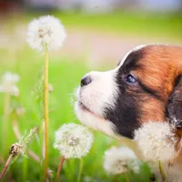 processed/68915448-dbff-45bc-bf34-f64a0a1a0c42/facility/e532e787-e2ef-45d7-9e0f-0e0157dcb550