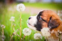 processed/68915448-dbff-45bc-bf34-f64a0a1a0c42/facility/e532e787-e2ef-45d7-9e0f-0e0157dcb550