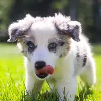 processed/68915448-dbff-45bc-bf34-f64a0a1a0c42/facility/f98a130d-d4d0-44cd-b5c2-e141e518fe30