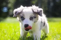 processed/68915448-dbff-45bc-bf34-f64a0a1a0c42/facility/f98a130d-d4d0-44cd-b5c2-e141e518fe30