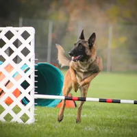 processed/68915448-dbff-45bc-bf34-f64a0a1a0c42/facility/fca270f1-5b43-4a17-a046-d46fe09f9457