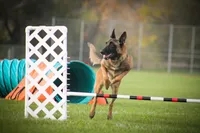 processed/68915448-dbff-45bc-bf34-f64a0a1a0c42/facility/fca270f1-5b43-4a17-a046-d46fe09f9457