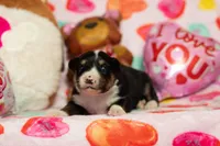 processed/68915448-dbff-45bc-bf34-f64a0a1a0c42/listing/0eabcac1-fafa-41d4-b23f-b9b6b5d3effe/81db1054-5507-4c76-925f-3c617dd1e0ae