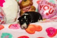 processed/68915448-dbff-45bc-bf34-f64a0a1a0c42/listing/0eabcac1-fafa-41d4-b23f-b9b6b5d3effe/f28b0091-8f82-4da1-ae7b-1fe1df8b7da8