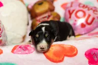 processed/68915448-dbff-45bc-bf34-f64a0a1a0c42/listing/0eabcac1-fafa-41d4-b23f-b9b6b5d3effe/fad0641f-2ed6-417e-ac70-7a3e73d07c36