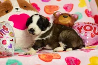 processed/68915448-dbff-45bc-bf34-f64a0a1a0c42/listing/10eef3ce-2c15-4750-8c11-4870a170c477/6404cab5-4120-4ff6-8ea2-dfe71938a956