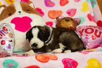 processed/68915448-dbff-45bc-bf34-f64a0a1a0c42/listing/10eef3ce-2c15-4750-8c11-4870a170c477/d547ae40-0ff0-4ee1-9db9-04c49c7ab4c1