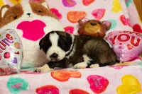 processed/68915448-dbff-45bc-bf34-f64a0a1a0c42/listing/10eef3ce-2c15-4750-8c11-4870a170c477/d93b01ab-aa0d-4045-b782-053485b9c42c