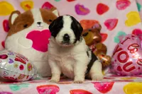 processed/68915448-dbff-45bc-bf34-f64a0a1a0c42/listing/11b4769f-5b88-455a-a95a-d463e481b7a3/256620f3-11b0-4b86-91ec-347f97a2381a