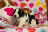 processed/68915448-dbff-45bc-bf34-f64a0a1a0c42/listing/11b4769f-5b88-455a-a95a-d463e481b7a3/4cc38e93-edf5-490a-a911-3aa03aef0bdf