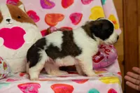 processed/68915448-dbff-45bc-bf34-f64a0a1a0c42/listing/11b4769f-5b88-455a-a95a-d463e481b7a3/89310f07-8b44-4c52-9290-071b80fd2dab