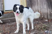 processed/68915448-dbff-45bc-bf34-f64a0a1a0c42/listing/221bf038-5853-4b92-b66c-945eb027c280/2819c496-2c41-4115-976f-8efec1d48244