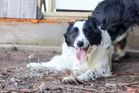 processed/68915448-dbff-45bc-bf34-f64a0a1a0c42/listing/221bf038-5853-4b92-b66c-945eb027c280/70fda527-a0d2-44b0-a3a2-b6538143e348