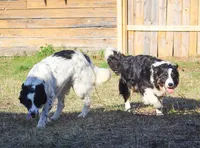 processed/68915448-dbff-45bc-bf34-f64a0a1a0c42/listing/221bf038-5853-4b92-b66c-945eb027c280/87ebc37d-738f-4bcb-a5d9-afc05176bcb0